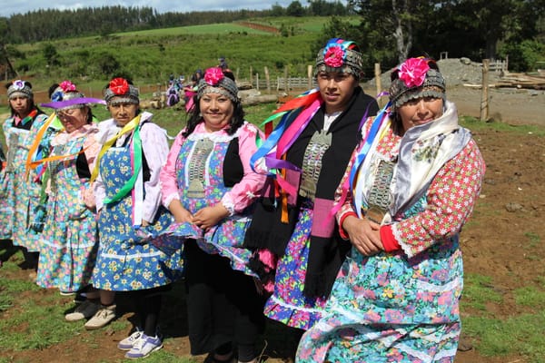 Cartografía participativa : el mapa como medio de existencia y de resistencia Mapuche